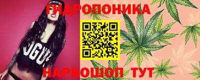 шишки Малгобек