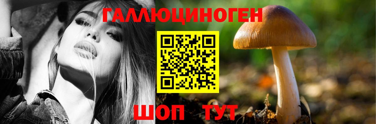 Галлюциногенные грибы мицелий  Вход с VPN  Дедовск 