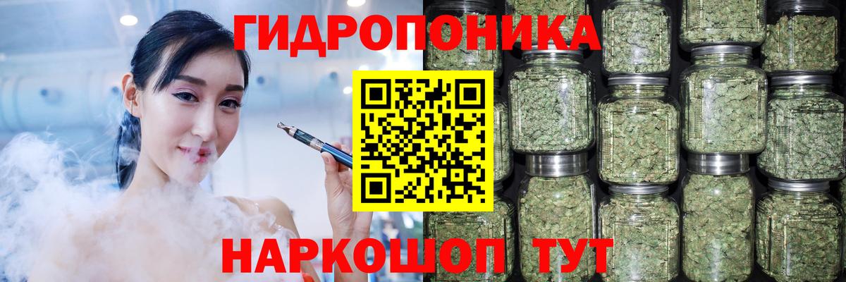 Канабис конопля Дедовск